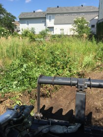 CLEARING OVERGROWN LOT